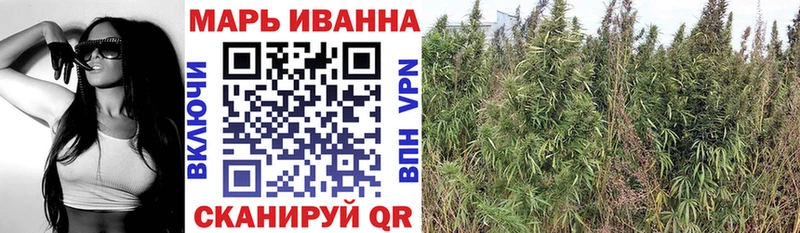Купить где  Камбарка  МАРИХУАНА сатива 